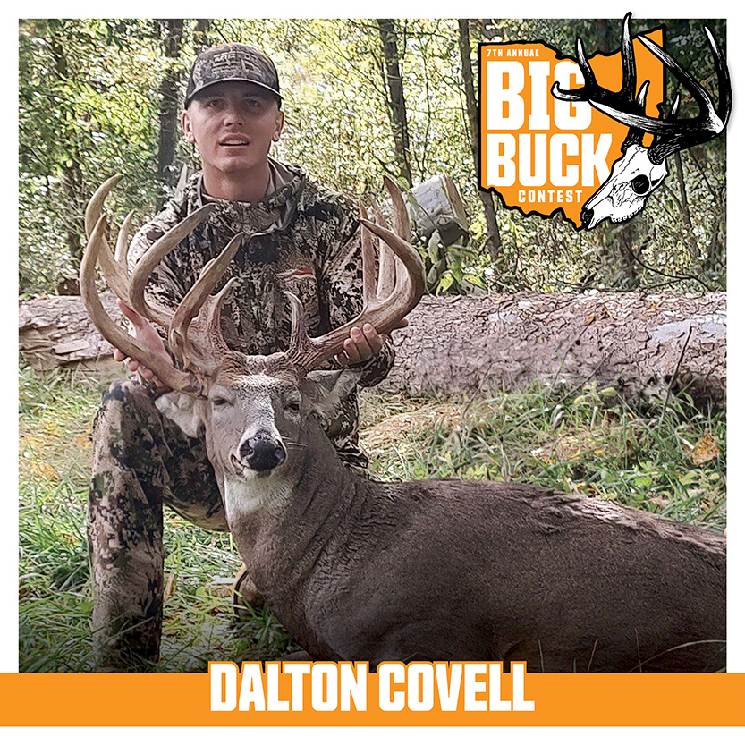 Dalton Covell